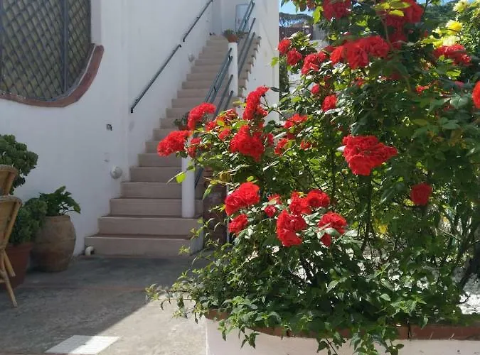 La Marocella